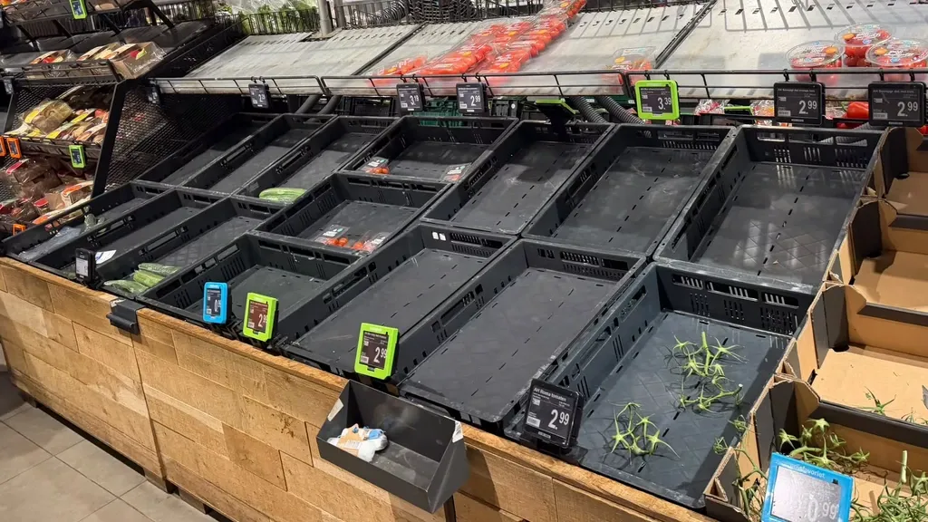 Albert Heijn distribution centers halted after digital security incident — shelves may go empty