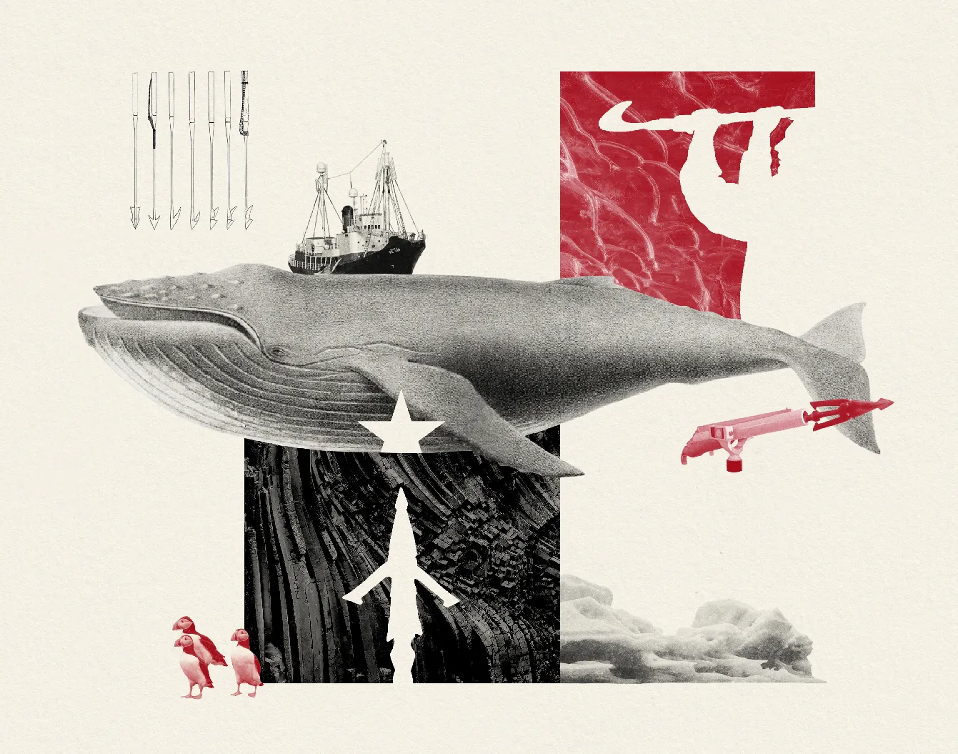 Illustration by Arnau Busquets Guàrdia