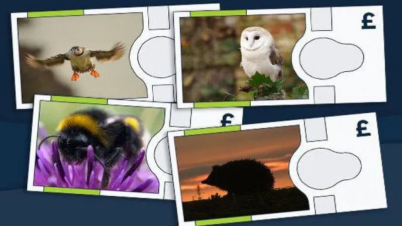 New British banknotes to feature a hedgehog and a bumblebee — a welcome nod to nature amid political theater