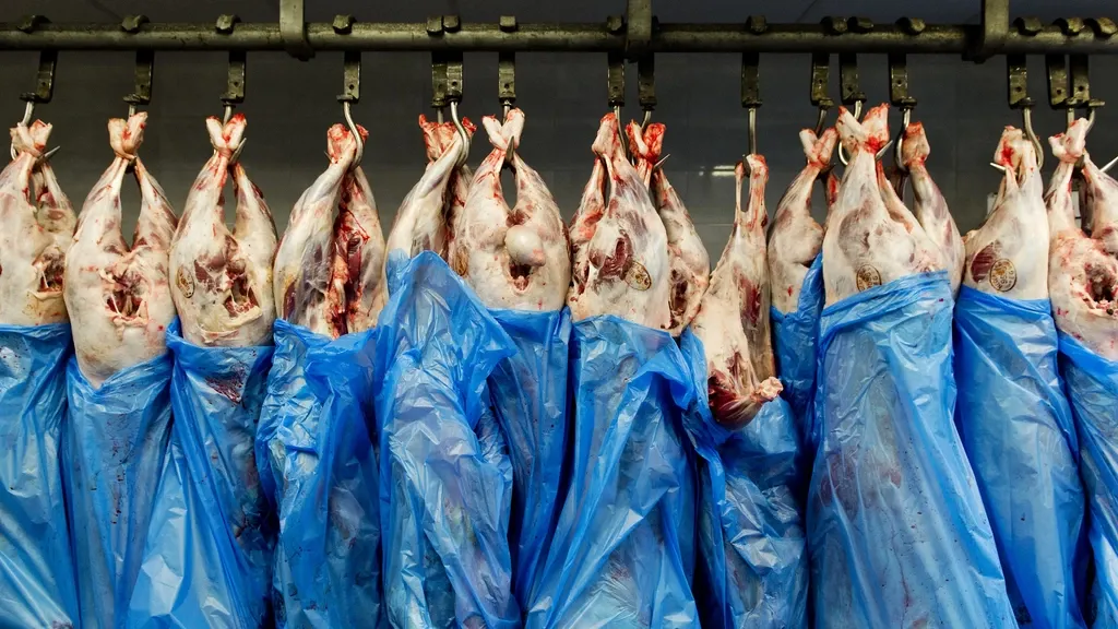 Animal Party makes another push to ban unstunned slaughter