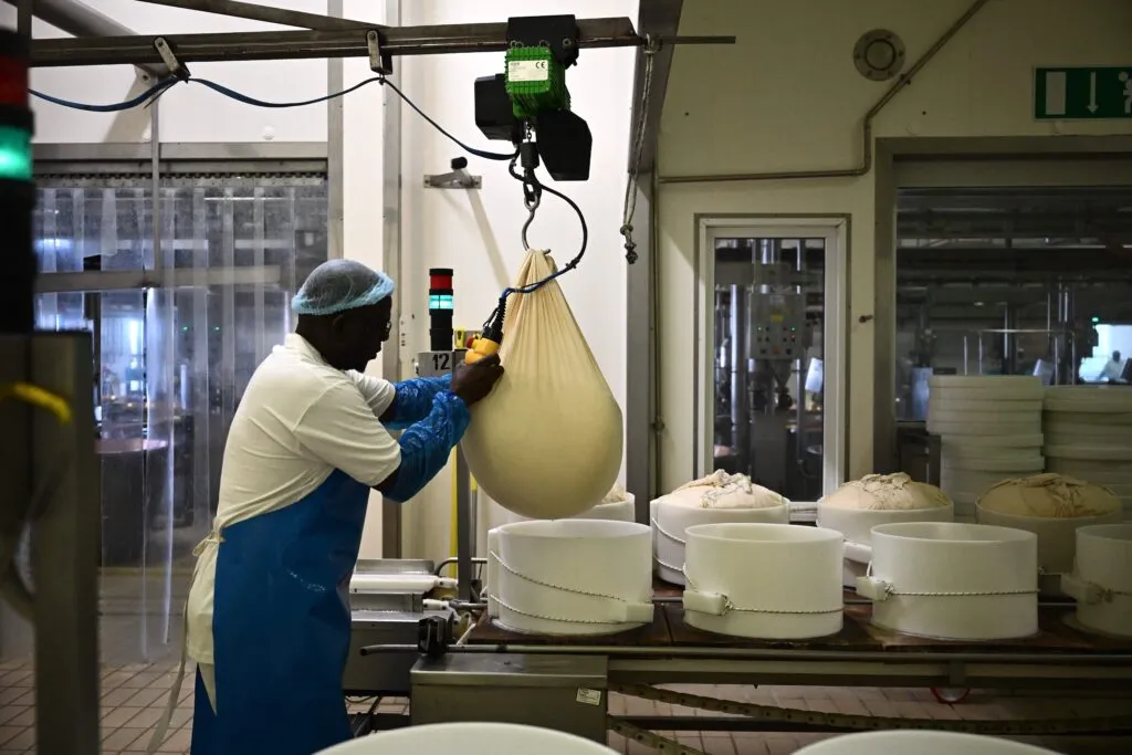 Italy’s blistering summer exposes weaknesses in EU-backed cheese system