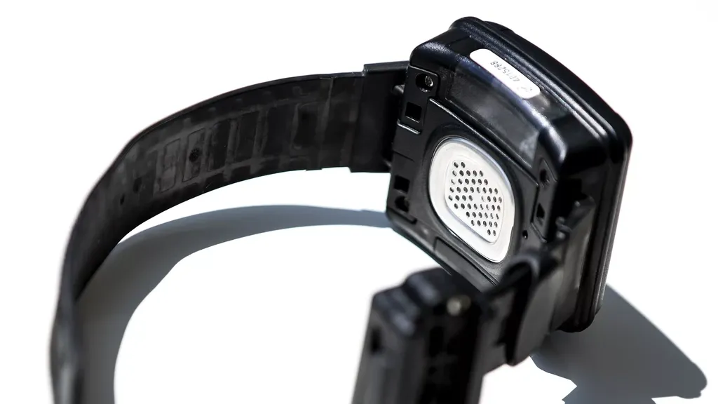 Lower House backs alcohol-monitor ankle bracelet for convicts
