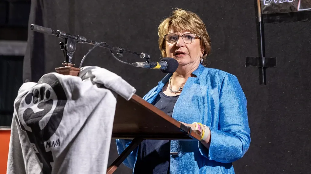 PvdA figure Mariëtte Hamer to lead Pro list in Senate election next May